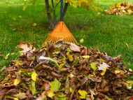 Sprzątanie terenów zewnętrznych - sprzątanie liści